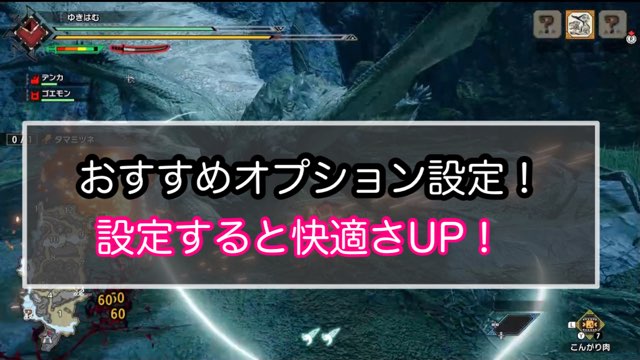 モンハンライズ おすすめオプション設定